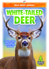 White-Tailed Deer By Renata Marie Cover Image