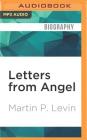 Letters from Angel By Martin P. Levin, Susan McInerney (Read by), George Backman (Read by) Cover Image