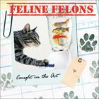Feline Felons: Caught in the Act By Debbie Keller, Ariel Books Cover Image