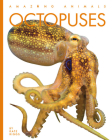 Octopuses (Amazing Animals) By Kate Riggs Cover Image