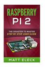 Raspberry Pi 2: The Disaster To Master Step By Step User Guide By Matt Eleck Cover Image
