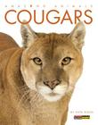 Amazing Animals: Cougars By Kate Riggs Cover Image