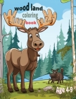 Wood Land Coloring book: Cute woodland animals coloring book age. 4-9 By Shiko Pro, Sherif El Gazzar Cover Image