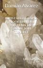 Cristaloterapia Moderna del Sistema de Sanación Tinerfe: Un Curso By Damian Alvarez Cover Image