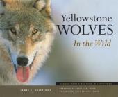 Yellowstone Wolves in the Wild By James C. Halfpenny Cover Image