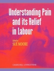 Understanding Pain and Its Relief in Labour By Sue Moore Cover Image