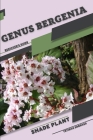 Genus Bergenia: Shade plant Beginner's Guide By Tetiana Sabanen Cover Image