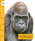 Gorillas (Spot African Animals) By Mary Ellen Klukow Cover Image