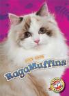 RagaMuffins (Cool Cats) Cover Image