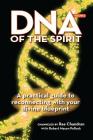 DNA of the Spirit, Volume 2: A Practical Guide to Reconnecting with Your Divine Blueprint Cover Image