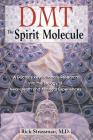 DMT: The Spirit Molecule: A Doctor's Revolutionary Research into the Biology of Near-Death and Mystical Experiences Cover Image