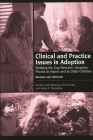 Clinical and Practice Issues in Adoption--Revised and Updated: Bridging the Gap Between Adoptees Placed as Infants and as Older Children By Victor K. Groza, Karen F. Rosenberg Cover Image