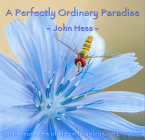 A Perfectly Ordinary Paradise: An intimate view of life on Brawley Creek By John Hess Cover Image