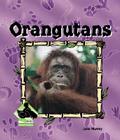 Orangutans (Animal Kingdom) By Julie Murray Cover Image