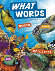 What Words (Word Play) By Carrie B. Sheely Cover Image