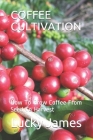 Coffee Cultivation: How To Grow Coffee From Seed To Harvest Cover Image
