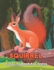 squirrel Coloring Book for Teens: A Coloring Book for Adults Squirrel Designs of styles to help you Relax and Anti-Stress. Vol-1 By Joyce Grear Cover Image