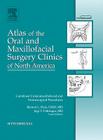 Combined Craniomaxillofacial and Neurosurgical Procedures, an Issue of Atlas of the Oral and Maxillofacial Surgery Clinics: Volume 18-2 (Clinics: Dentistry #18) By Ramon L. Ruiz, Jogi Pattisapu Cover Image