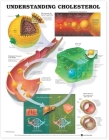 Understanding Cholesterol Anatomical Chart Cover Image