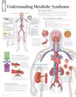 Metabolic Syndrome Chart: Wall Chart Cover Image