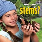 What Are Stems? By Molly Aloian Cover Image