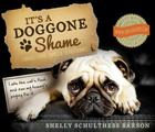 It's a Doggone Shame: Curious Canine Crimes and Catastrophes By Shelly Schulthess Barson Cover Image