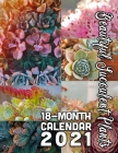 Beautiful Succulent Plants 18-Month Calendar 2021: October 2020 through March 2022 By Calendar Gal Press Cover Image