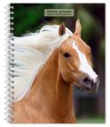 Horse Lovers 2025 6 X 7.75 Inch Spiral-Bound Wire-O Weekly Engagement Planner Calendar New Full-Color Image Every Week By Browntrout Cover Image