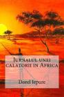 Jurnalul Unei Calatorii in Africa By Dorel Iepure, Alexandru Bogdan Voda Cover Image