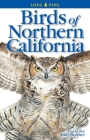 Birds of Northern California By David Fix, Andy Bezener, Gary Ross (Illustrator) Cover Image