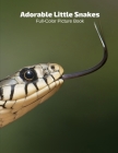 Adorable Snakes Full-Color Picture Book: Snakes Picture Book for Children, Seniors and Alzheimer's Patients -Reptiles Wildlife Nature Cover Image