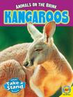 Kangaroos (Animals on the Brink) By Patricia Miller-Schroeder Cover Image