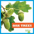 Oak Trees (Nature Walk) By Rebecca Stromstad Glaser Cover Image