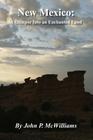 New Mexico: A Glimpse Into an Enchanted Land By John P. McWilliams Cover Image