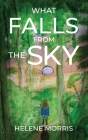 What Falls from the Sky By Helene Morris Cover Image