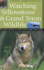 Watching Yellowstone & Grand Teton Wildlife By Todd Wilkinson, Michael H. Francis (Photographer) Cover Image