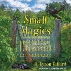 Small Magics: Practical Secrets from an Appalachian Village Witch Cover Image