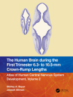 The Human Brain During the First Trimester 6.3- To 10.5-MM Crown-Rump Lengths: Atlas of Human Central Nervous System Development, Volume 2 By Shirley A. Bayer, Joseph Altman Cover Image