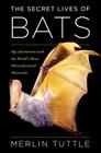 The Secret Lives of Bats: My Adventures with the World's Most Misunderstood Mammals By Merlin Tuttle Cover Image