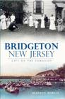 Bridgeton, New Jersey:: City on the Cohansey (Brief History) By Sharron Morita Cover Image