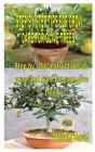 Step by Step Tips for Grow and Care for Olive Trees: Step by step instructions to grow and care for your olive trees By William David Cover Image