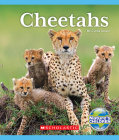 Cheetahs (Nature's Children) (Nature's Children, Fourth Series) By Cynthia Unwin Cover Image