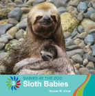 Sloth Babies By Susan H. Gray Cover Image