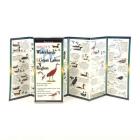 Sibley's Waterbirds of the Great Lakes Region By David Sibley, David Sibley (Illustrator) Cover Image