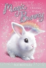 Chocolate Wishes #1 (Magic Bunny #1) By Sue Bentley, Angela Swan (Illustrator) Cover Image