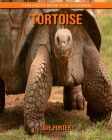 Tortoise: Fun Facts Book for Children By Sue Porter Cover Image