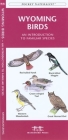 Mississippi Birds: A Folding Pocket Guide to Familiar Species (Pocket Naturalist Guide) Cover Image