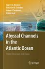 Abyssal Channels in the Atlantic Ocean: Water Structure and Flows By Eugene G. Morozov, Alexander N. Demidov, Roman Y. Tarakanov Cover Image