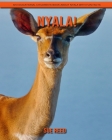 Nyala! An Educational Children's Book about Nyala with Fun Facts By Sue Reed Cover Image
