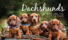 Dachshunds: The Long and the Short of Them By Caroline Donald Cover Image
